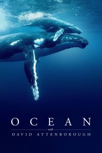 Ocean with David Attenborough Ocean with David Attenborough